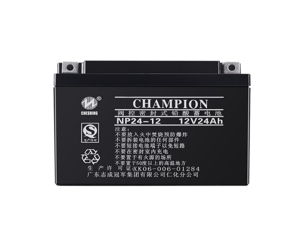 閥控密封式鉛酸蓄電池12V24AH