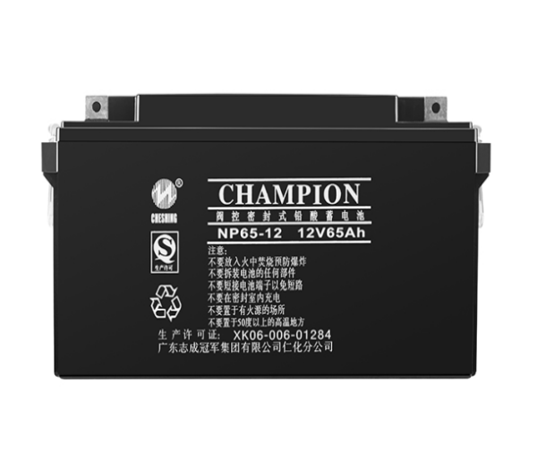 閥控密封式鉛酸蓄電池12V65AH